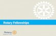 Rotary Fellowships D7710 Overview