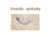 Fossils  activity