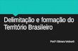 Delimitação e formação do território brasileiro