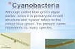 Know about cyanobacteria