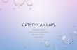 Catecolaminas 2