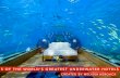 Melissa Keroack: 5 Of The World's Greatest Underwater Hotels