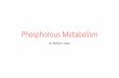 Phosphorous metabolism