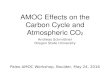 Atlantic Meridional Overturning Circulation Effects on the Carbon Cycle and Atmospheric CO2