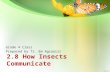 How insects communicate