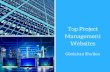 Gbolahan Shyllon - Top Project Management Websites
