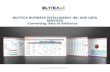 bilytica services for business intelligence ,