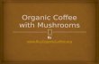 Organic Coffee with Mushrooms