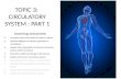 Topic 3  Circulatory System part 1