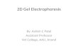 2 d gel electrophoresis