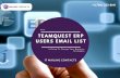 TeamQuest ERP Users Email List