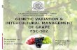 Genetic variation & Intercultural management in Grape