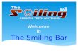 Cosmetic Teeth Whitening business opportunity PowerPoint Presentation by The Smiling Bar