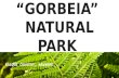 “Gorbeia”  Natural Park