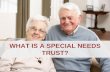 What Is a Special Needs Trust