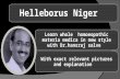 Helleborus Niger homoeopathic materia medica slide show presentation by Dr. Hansaraj salve