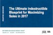 The Ultimate Indestructible Blueprint for Maximizing Sales in 2017