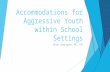 Accommodations for Aggressive Youth in School Settings