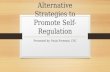 Alternative Strategies to Reduce Anger and Promote Self-Regulation