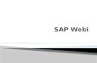 SAP BO Web Intelligence Basics