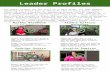 LMV leader profiles