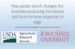 Raw potato starch changes the butyrate-producing microbiota and host immune responses in pigs