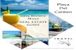 2015 Playa del Carmen Real Estate Guide