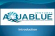 AquaBlue Ventures Sea Cucumbers & Sustainable Aquaculture