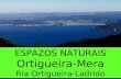 LIC Ortigueira-Mera