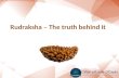 Rudraksha – The truth behind it