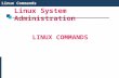 Linux commands and file structure