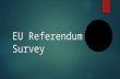 UK Brexit Referendum Survey - 10,000 Office Workers