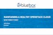 Maintaining a Healthy OpenStack Cloud: What does it take?