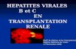 Hepatitis B and C in renal transplantation