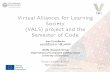 Virtual Alliances for Learning Society (VALS) project and the Semester of Code