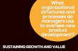 Organizational structures and processes managers use to oversee new-product development
