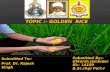 Golden rice by utkarsh