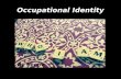 Occupational identity   by Leona Birss 2015