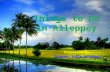 Things to do in alleppey
