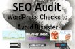 Website SEO Audit WordPress Checks