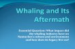 Whaling And Its Aftermath