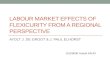 Labour market effects of flexicurity from a regional