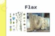 Flax fiber ppt