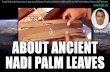 Nadi Astrology (Nadi Palm Leaves): Real History -Kalki