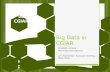 SC2 Workshop 1: Big Data in CGIAR
