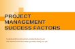 100 Project Management-Success Factor