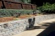 Drought Tolerant Landscaping - Mulch and Shrubs