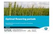 Optimal flowering periods (Manangatang MRU) - Bonnie Flohr (CSIRO)