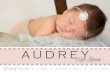 Audrey Mae Kiernan Announcement-View