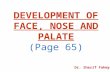 Development of Face, Nose and Palate (Special Embryology)